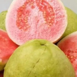 

jambu biji merah 1kg