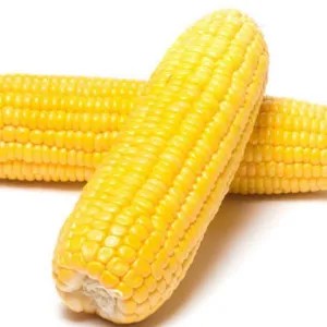 

jagung manis kupas 500g