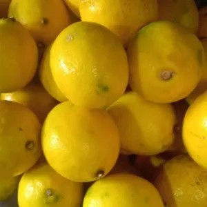 

jeruk lemon gede bandung 500g
