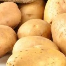 

kentang Dieng sedang 500g