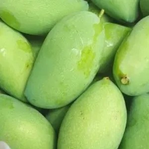 

Mangga muda 500g