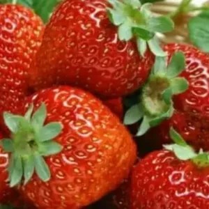 

strowbery 1pack kecil