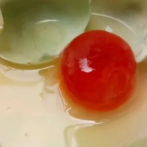 

telur bebek mentah 10butir 700g