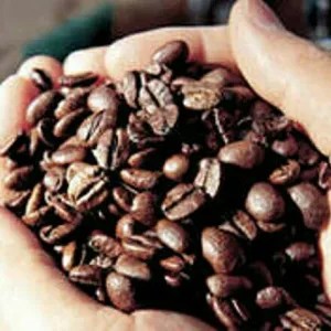 Biji Kopi Arabika Lampung 100g