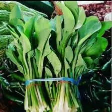 

Daun genjer 1per pack