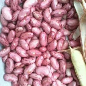 

kacang merah kupas 150g