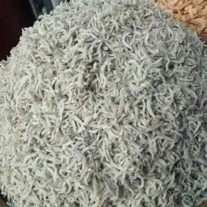 

teri padang nasi 100g