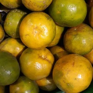 

jeruk medan sedang 500g