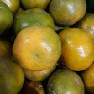 

jeruk medan sedang 1kg