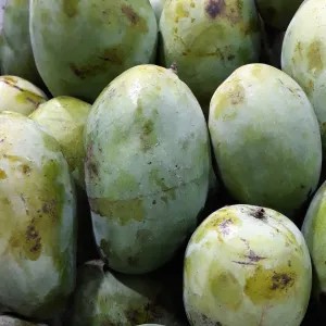 

mangga harummanis 500g