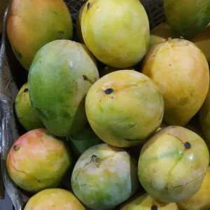 

mangga Brazil 1kg