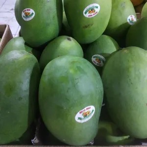 

mangga harumanis Bangil (dus) 1kg