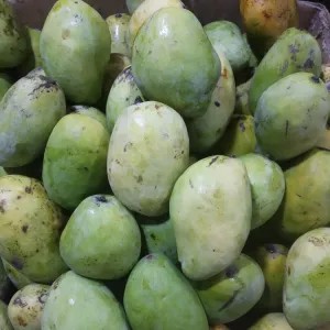 

mangga Indramayu (matang) 500g