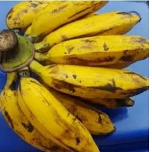 

pisang uli kecil 1per pack