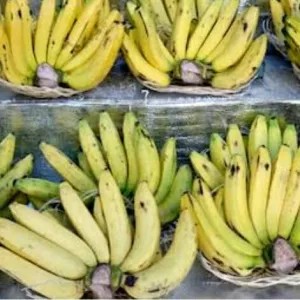 

pisang ambon suka bumi mini 1per pack