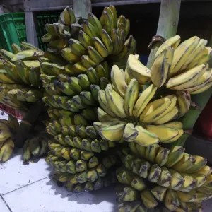 

pisang kepok matang (1sisir-random) 1per pack
