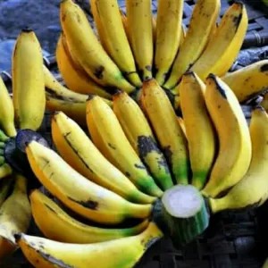 

pisang raja besar matang 1per pack