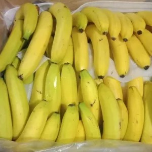 pisang sunpride 1kg