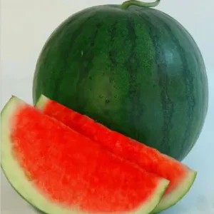 

semangka non biji 5kg 5kg