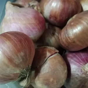 bawang bombay merah/bawang bombay india 500gr 500g