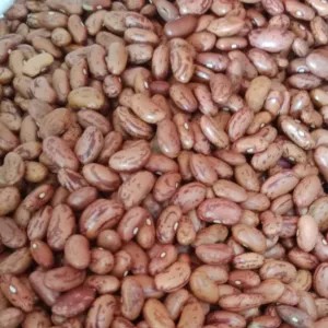 

kacang merah/red Bean/brenebon 1kg 1000g