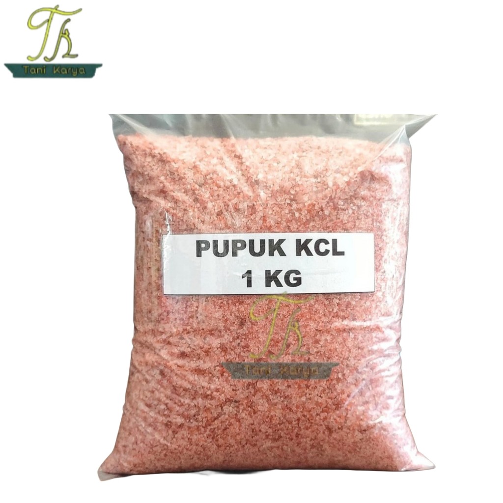 PUPUK KCL IMPORT BELARUSIA 1 KG / KCL SASCO IMPORT BELARUSIA / PUPUK BUNGA