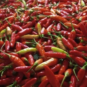 cengek merah 1kg 1kg