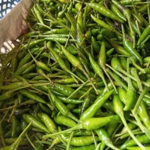 cengek hijau japlak 100g