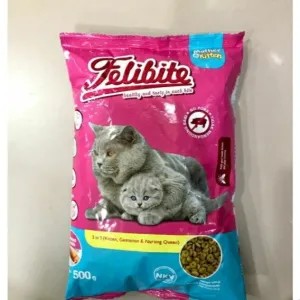 Felibite Mother&Kitten