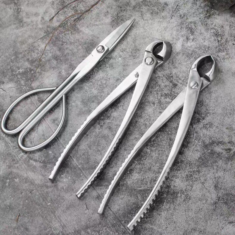 Catok Bonsai Cembung 21 cm Catut Cembung Brand Miswan Original Tanaman Bonsai Nyota