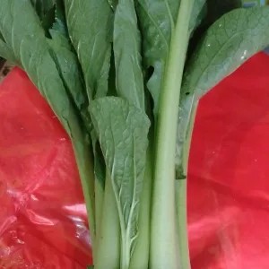 sosin/sawi hijau 250g