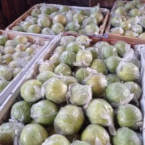 jambu biji merah 1kg