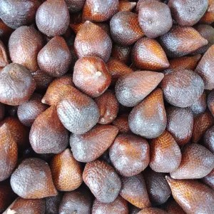 Salak Pondoh 1kg
