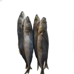 Ikan asin layang 50g
