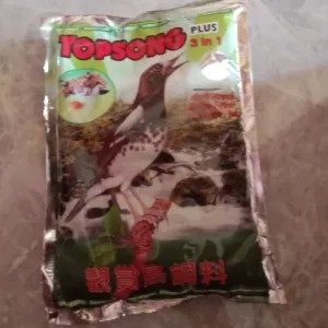 top song rumput laut(hijau)