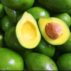 alpukat (mentega) 1kg