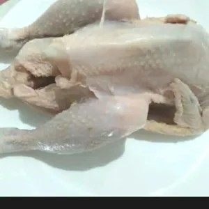 ayam pejantan/ 1 ekor 1per pack