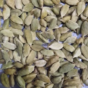 Kapolaga India/Kapolaga Hijau