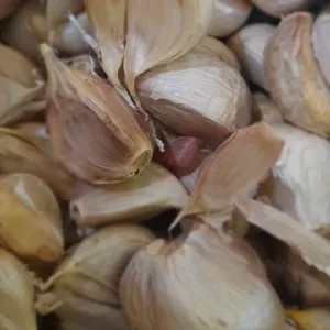 Bawang Putih Kating 1kg