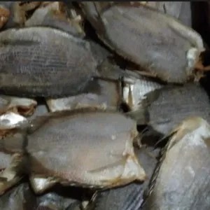 IKAN TEMBAKANG.  100gr