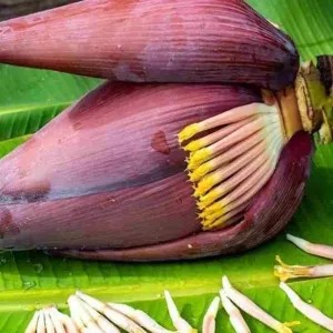 JANTUNG PISANG KEPOK