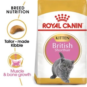 Royal Canin British Short Hair Kitten 400g