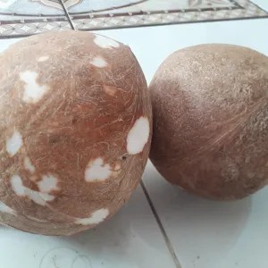 1 butir kelapa parut muda/kemetan (urap/srundeng) 1per pack