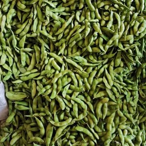 Edamame Kacang kedelai Jepang 1kg 1kg