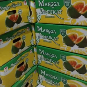 Mangga Alpukat Klonal BANGIL 1dus 5kg