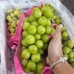 Shine Muscat curah (tanpa biji) 500g