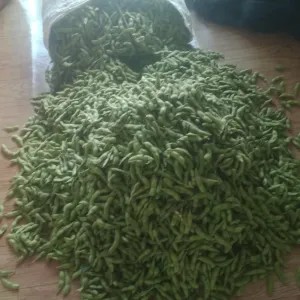 Kacang Edamame Fresh 1kg
