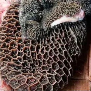 BABAT SAPI FRESH BONUS BUMBU SOTO