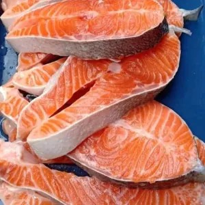 IKAN SALMON SEGAR POTONG POTONG