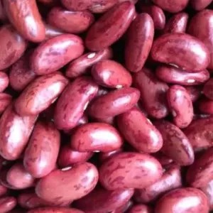 KACANG MERAH KERING
